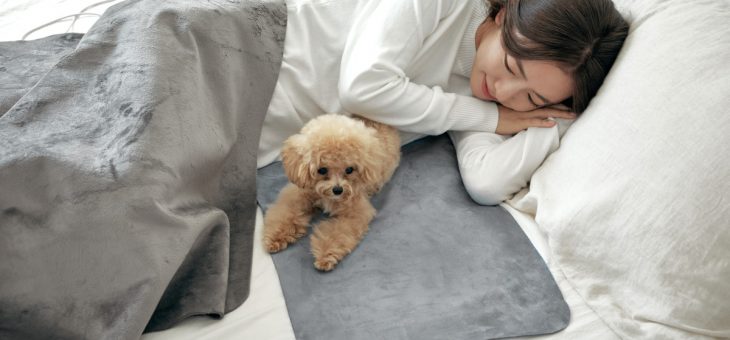 INKO、インクで温める特許技術のホットマット「INKO Sleep+」マクアケにて先行発売 ～銀ナノインクで発熱＆電磁波99.9%カット、人にも環境にも優しい逸品～